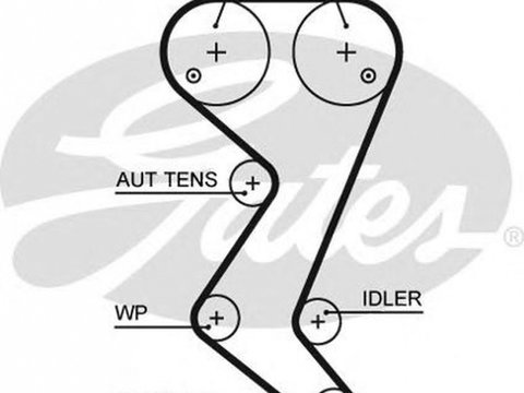 Curea de distributie CITROEN C4 Grand Picasso I UA GATES 5608XS