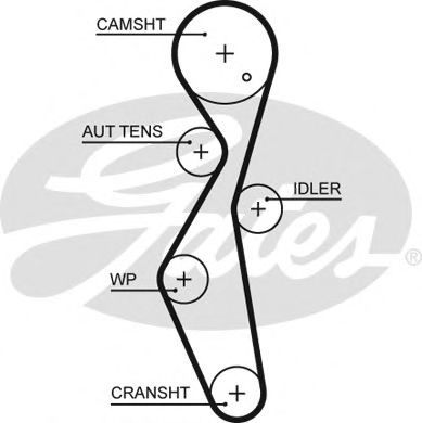 Curea de distributie CITROEN C4 II (B7) (2009 - 20
