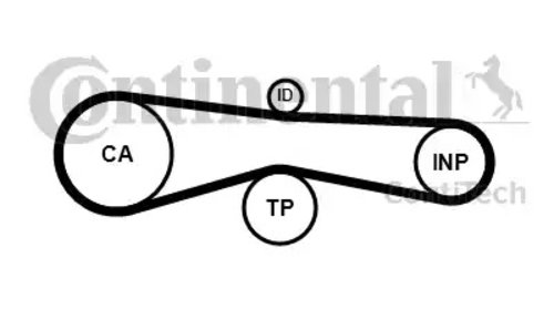 Curea de distributie CT1131 CONTITECH pe