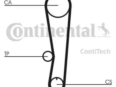 Curea de distributie CT895 CONTITECH