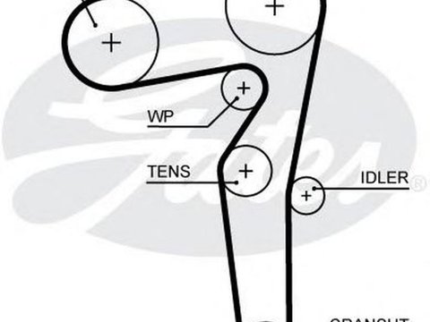 Curea de distributie FIAT IDEA 350 GATES 5646XS