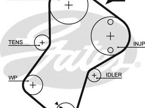 Curea de distributie FIAT SCUDO Combinato 220P GATES 5049XS