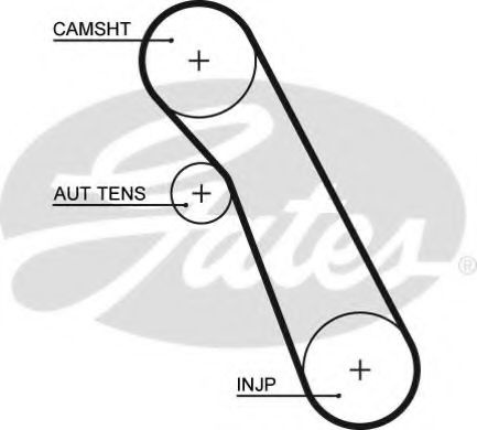 Curea de distributie FORD FOCUS (DAW, DBW) (1998 - 2007) GATES 5541XS