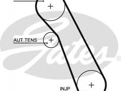 Curea de distributie FORD FOCUS II combi DA GATES 5541XS