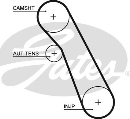 Curea de distributie FORD FOCUS Turnier (DNW), Turism, 02.1999 - 12.2007 Gates 5541XS