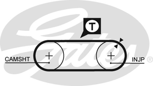 Curea de distributie (GAT5246 GATES) AUDI,VW