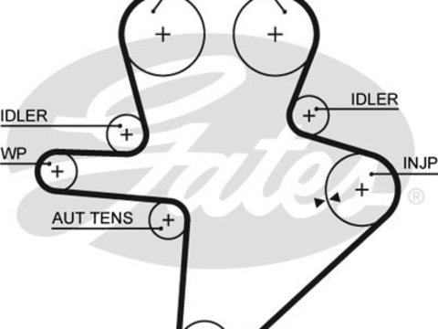 Curea de distributie (GAT5586XS GATES) CHRYSLER,JEEP,LDV,LTI