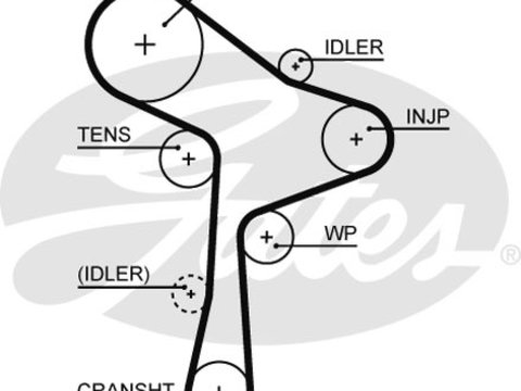 Curea de distributie (GAT5678XS GATES) AUDI,MAN,SEAT,SKODA,VW
