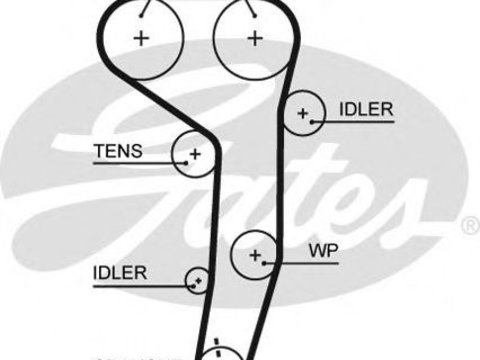Curea de distributie MITSUBISHI GRANDIS (NA_W) (2003 - 2016) GATES 5607XS