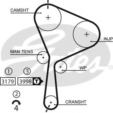 Curea de distributie NISSAN PRIMERA (P12) (2002 - 2016) GATES 5610XS