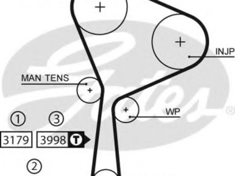 Curea de distributie NISSAN PRIMERA (P12) (2002 - 2020) GATES 5610XS