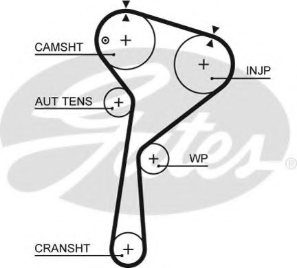 Curea de distributie NISSAN QASHQAI (J11, J11_) (2