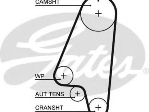 Curea de distributie OPEL COMBO caroserie inchisa/combi (2001 - 2020) GATES 5310XS