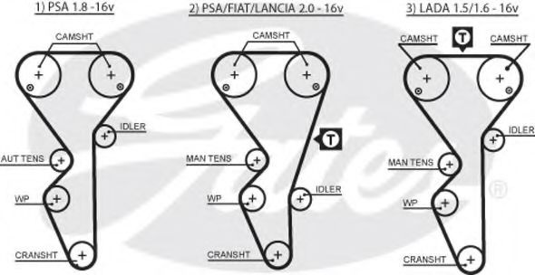 Curea de distributie PEUGEOT 306 Break (7E, N3, N5