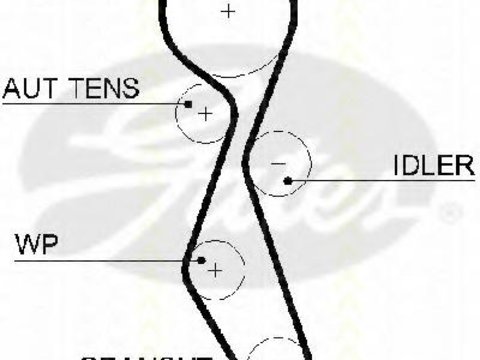 Curea de distributie PEUGEOT 607 limuzina (9D, 9U), PEUGEOT 307 (3A/C), PEUGEOT 307 SW (3H) - TRISCAN 8645 5606xs