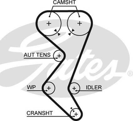 Curea de distributie PEUGEOT EXPERT (222), Van, 07