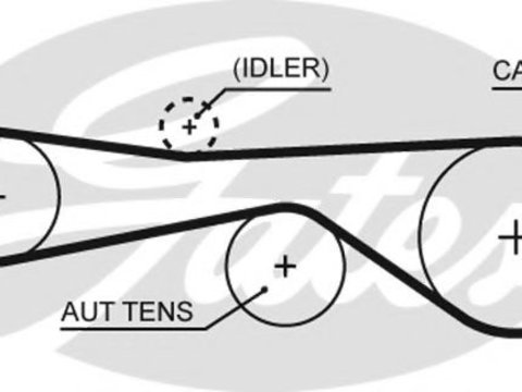 Curea de distributie PORSCHE CAYENNE (9PA, 955) (2002 - 2010) GATES 5676XS