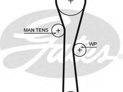 Curea de distributie RENAULT CLIO Grandtour IV GATES 5577XS