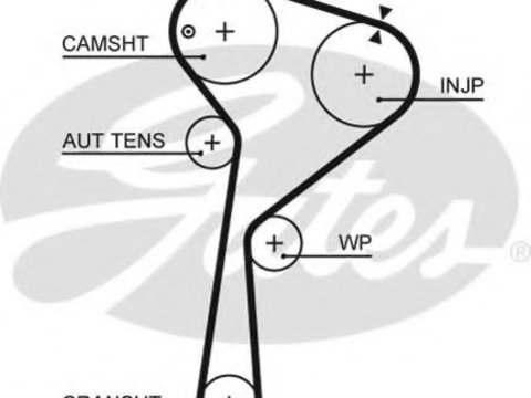 Curea de distributie RENAULT MEGANE III cupe (DZ0/1_) (2008 - 2020) GATES 5675XS