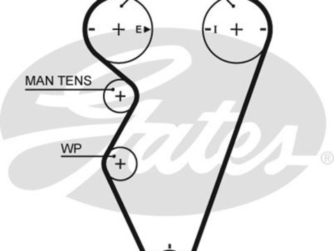 Curea de distributie ROVER COUPE 1996-1999 GATES 5416XS