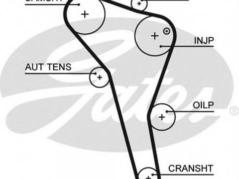 Curea de distributie SEAT ALHAMBRA 7V8 7V9 GATES 5622XS