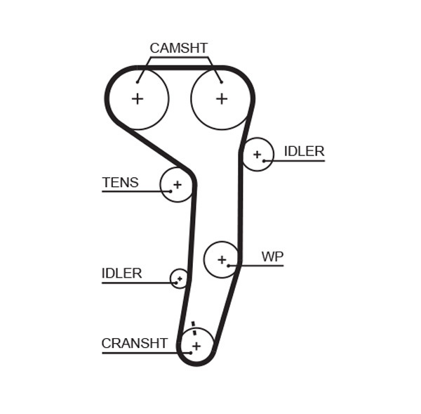Curea de distributie # Seat Altea 2004 2005 2006 2007 2008 2009 2010 2011 2012 2013 2014 2015 2016 2017 2018 2019 2020 2021 2022 2023 2024 2025 # 5607XS # GATES