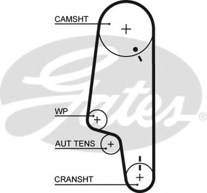 Curea de distributie SEAT CORDOBA (6K1, 6K2) (1993