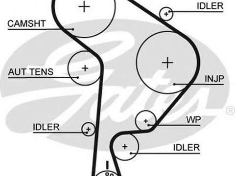Curea de distributie SEAT CORDOBA 6K2 GATES 5559XS