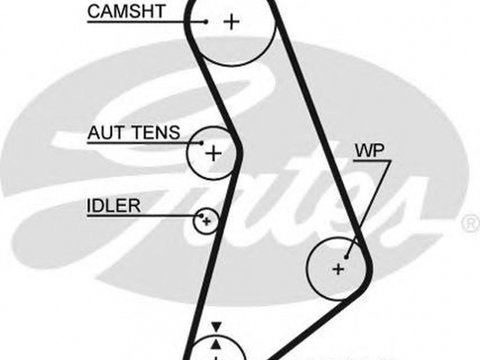 Curea de distributie VW GOLF IV 1J1 GATES 5491XS