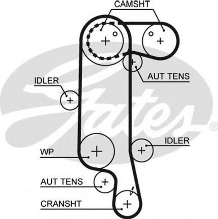 Curea de distributie VW GOLF IV 1J1 GATES 5565XS