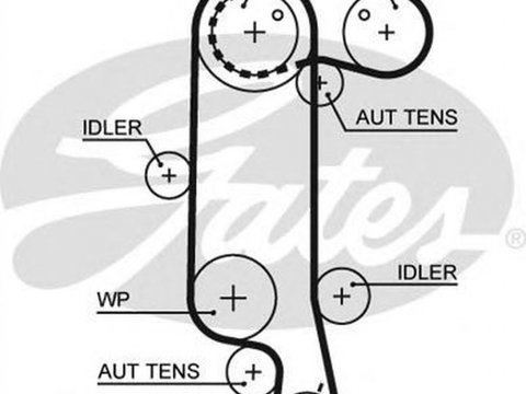 Curea de distributie VW GOLF IV 1J1 GATES 5565XS