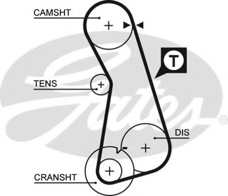 Curea de distributie VW GOLF IV Cabriolet (1E7) (1