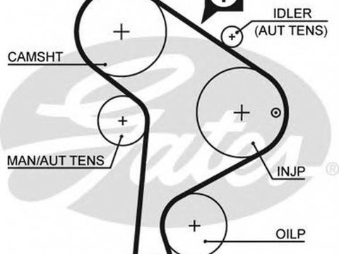 Curea de distributie VW GOLF IV Cabriolet 1E7 GATES 5223XS