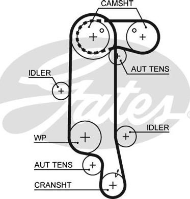 Curea de distributie VW GOLF V (1K1), Hatchback, 1
