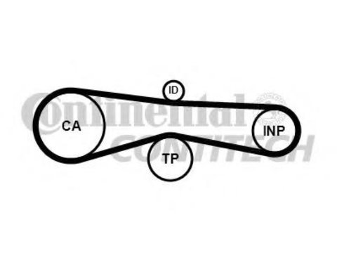 Curea de distributie VW PHAETON limuzina (3D_), VW TOUAREG (7LA, 7L6, 7L7), AUDI A6 limuzina (4F2, C6) - CONTITECH CT1131