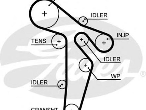 Curea de distributie VW TOURAN (1T1, 1T2), AUDI A3 (8P1), VW MULTIVAN Mk V (7HM, 7HN, 7HF, 7EF, 7EM, 7EN) - GATES 5649XS