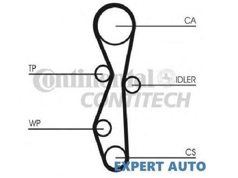 Curea distributie Citroen Jumpy (2007->) 0816G3