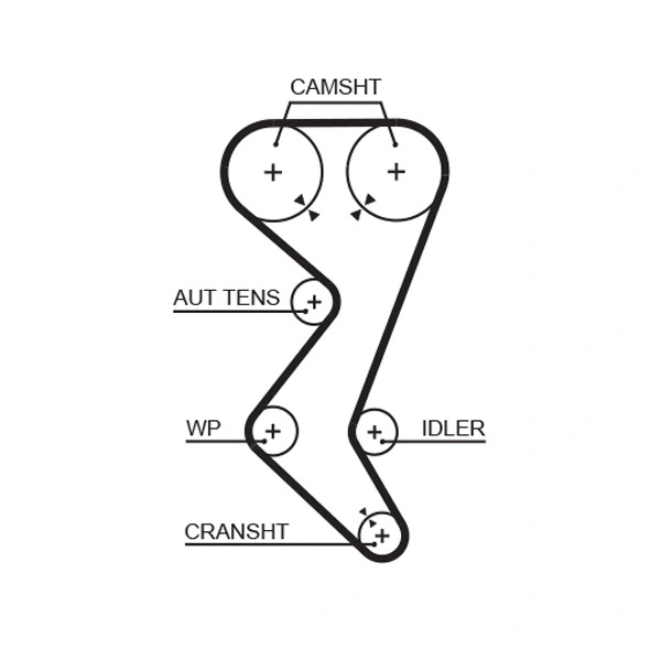 Curea distributie Gates CITROËN JUMPY I (U6U_) 2000-2006 - 5528XS