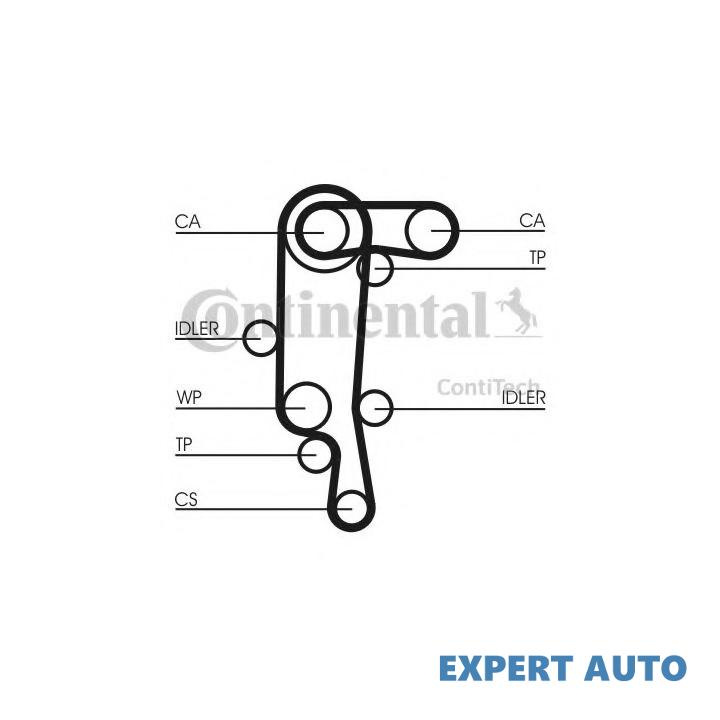 Curea distributie Seat SEAT IBIZA V SPORTCOUPE (6J1, 6P1) 2008-2016 #8 036109119AC