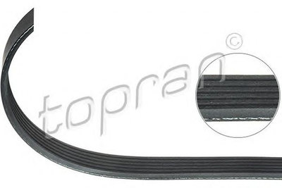 Curea transmisie AUDI A4 8E2 B6 TOPRAN 110095 Pies