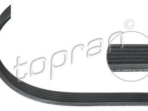 Curea transmisie AUDI A4 8E2 B6 TOPRAN 110095 PieseDeTop