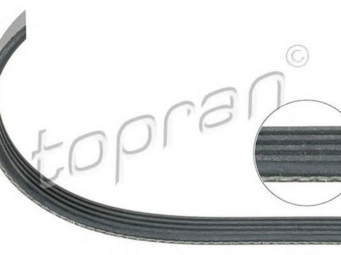 Curea transmisie AUDI A4 Avant 8E5 B6 TOPRAN 110095 PieseDeTop