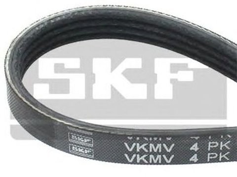 Curea transmisie AUDI A6 Avant 4A C4 SKF VKMV4PK855