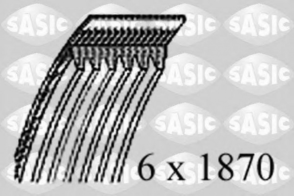 Curea transmisie BMW 3 Touring E91 SASIC 1776084