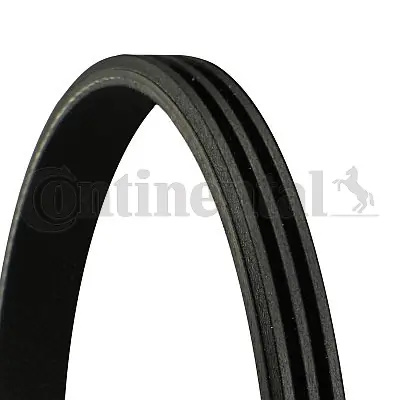 Curea transmisie CONTINENTAL MAZDA 6 combi (GJ, GL) 2012-2023 - 3PK817 ELAST