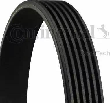 Curea transmisie cu canel 6PK906 curea CONTI wieloklinowy Seat Toledo - Leon - Ibiza VW GOLF - BORA VW CADDY II (9K9B), Dubita, 11.1995 - 12.2004 Continental 6PK906