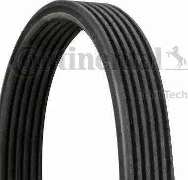 Curea transmisie cu canel 849 260 06A curea CONTI 6DPK1195 wieloklinowy TT-A3 AUDI VW GOLF IV - BORA - BEETLE SKODA SEAT VW GOLF IV (1J1), Van, 10.1997 - 05.2004 Continental 6DPK1195