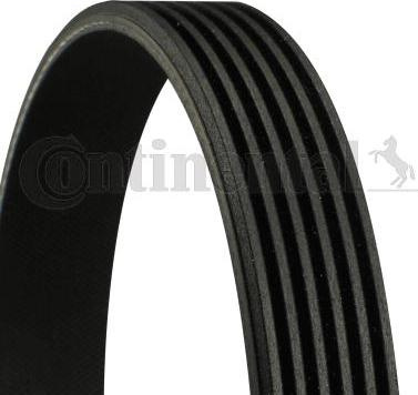 Curea transmisie cu canel ELAST 6PK873 CONTITECH 6 PK 873 ELAST