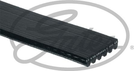 Curea transmisie cu canel Multi-V-belt 6PK1053 RENAULT MEGANE Scenic (JA0/1_), Dubita, 10.1996 - 12.2001 Gates 6PK1053