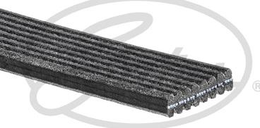 Curea transmisie cu canel Multi-V-belt 8PK1410 JAGUAR F-TYPE XE XF I XF II XF SPORTBRAKE XJ XK II 3.0-5.0 01.09- Gates 8DPK1410